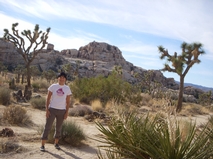 Joshua Tree